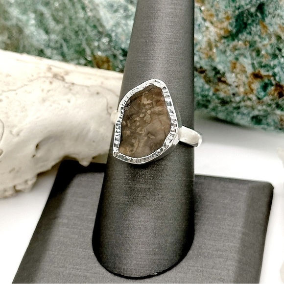 RARE Blue Forest Petrified Wood Solid Sterling Silver Ring - Picture 4 of 4